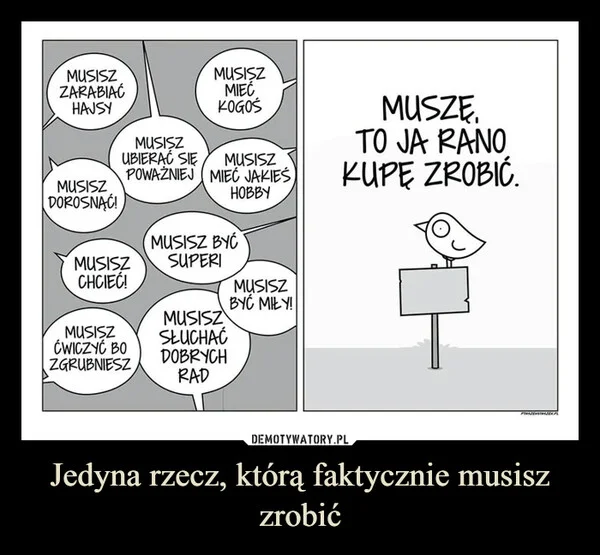 
    Jedyna rzecz, którą faktycznie musisz zrobić