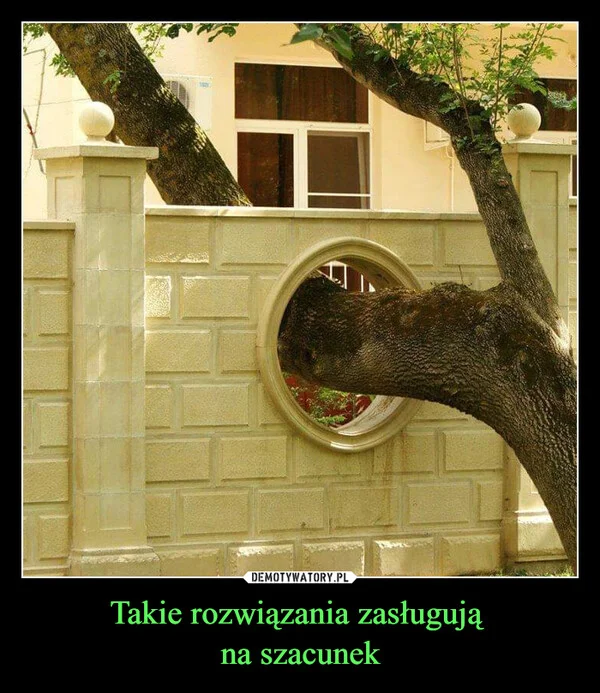 
    Takie rozwiązania zasługują na szacunek
