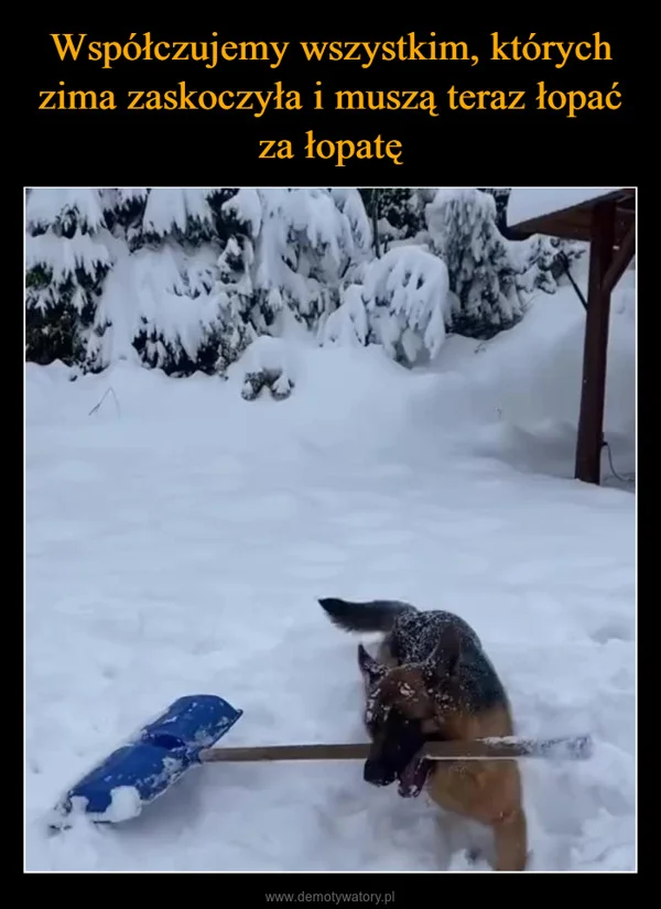 
    Współczujemy wszystkim, których zima zaskoczyła i muszą teraz łopać za łopatę