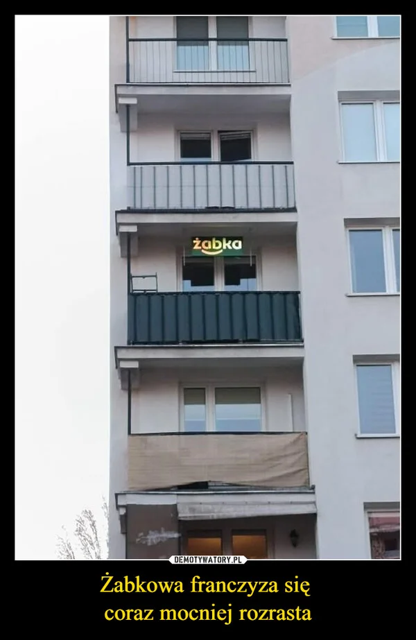 
    Żabkowa franczyza się coraz mocniej rozrasta