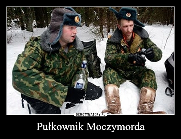 
    Pułkownik Moczymorda