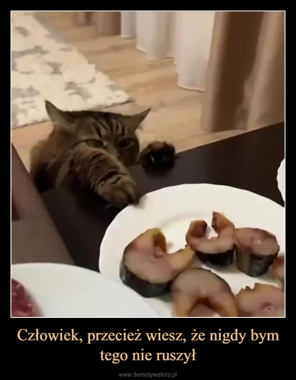 
    Człowiek, przecież wiesz, że nigdy bym tego nie ruszył