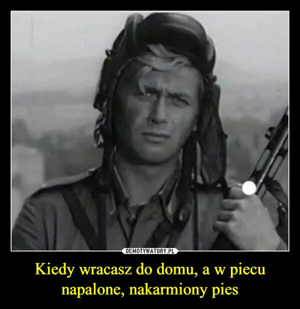 
    Kiedy wracasz do domu, a w piecu napalone, nakarmiony pies