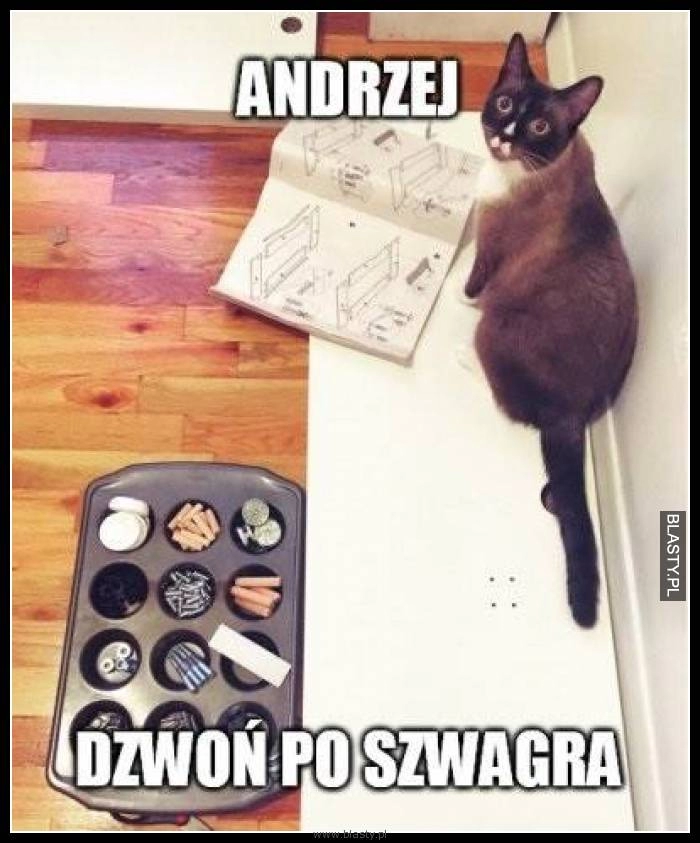 
    Andrzej - dzwoń po szwagra