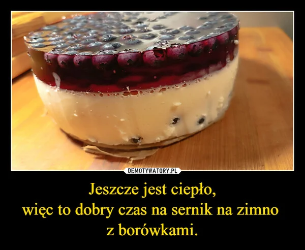 
    Jeszcze jest ciepło, więc to dobry czas na sernik na zimno z borówkami.
