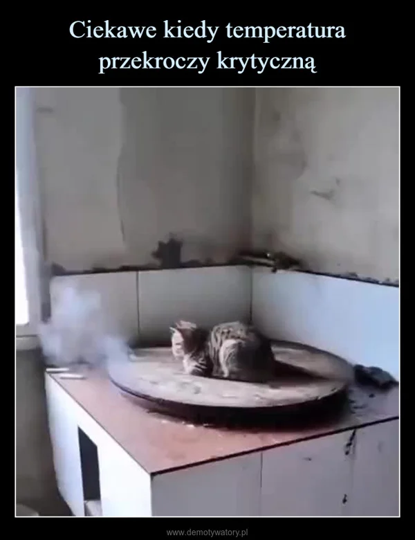 
    Ciekawe kiedy temperatura przekroczy krytyczną