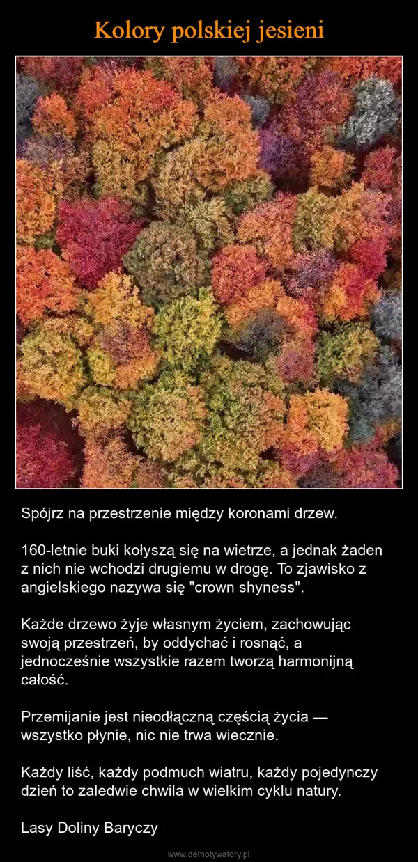 Kolory polskiej jesieni