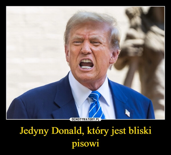 
    Jedyny Donald, który jest bliski pisowi