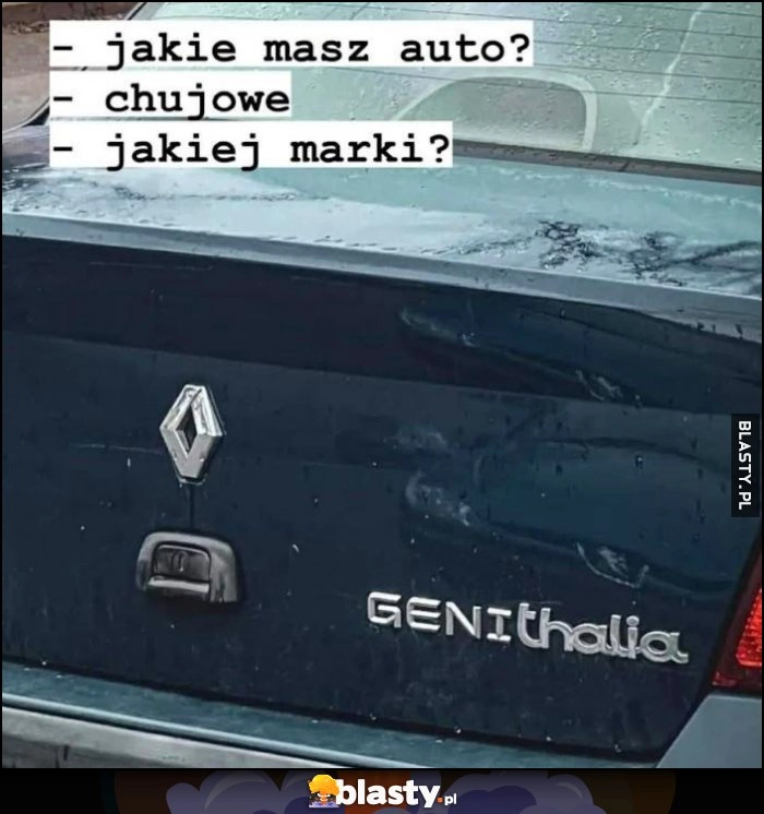 
    Jakie masz auto? Kijowe. Jakiej marki? Genithalia Renault Thalia