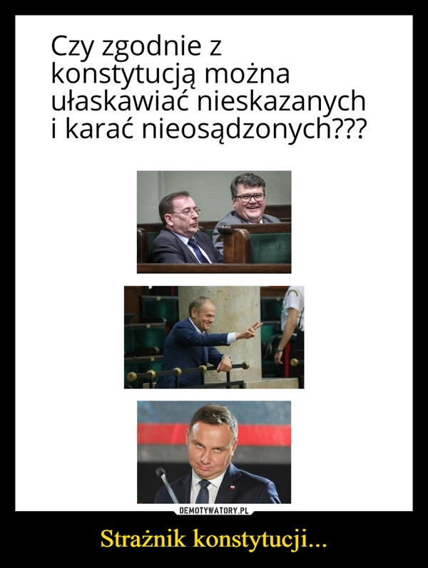 
    Strażnik konstytucji...