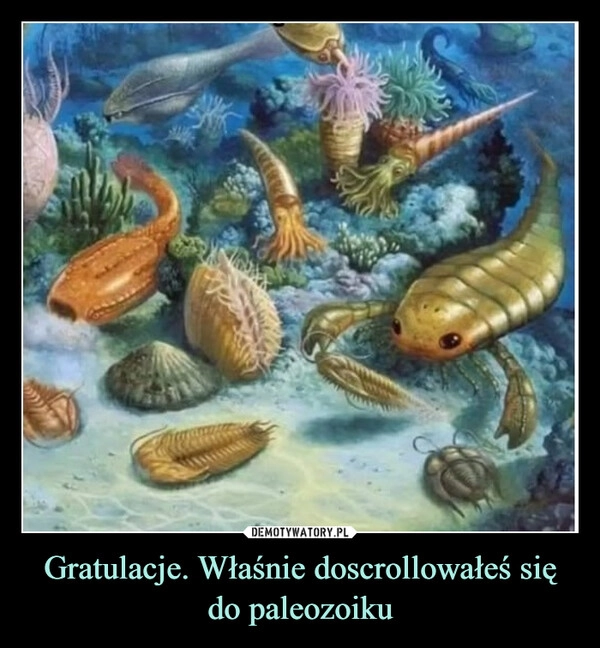 
    Gratulacje. Właśnie doscrollowałeś się do paleozoiku