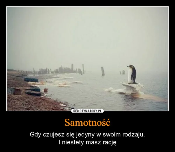 
    Samotność