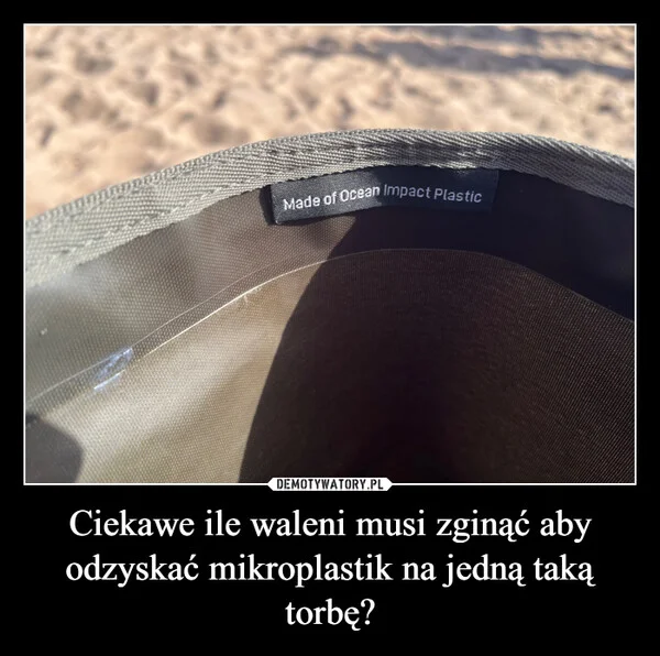 
    Ciekawe ile waleni musi zginąć aby odzyskać mikroplastik na jedną taką torbę?