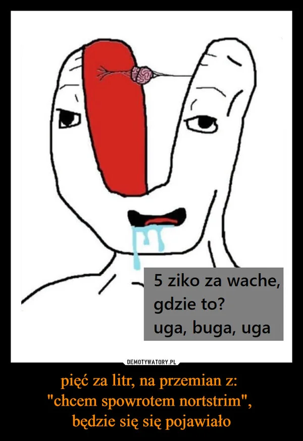 
    pięć za litr, na przemian z: 