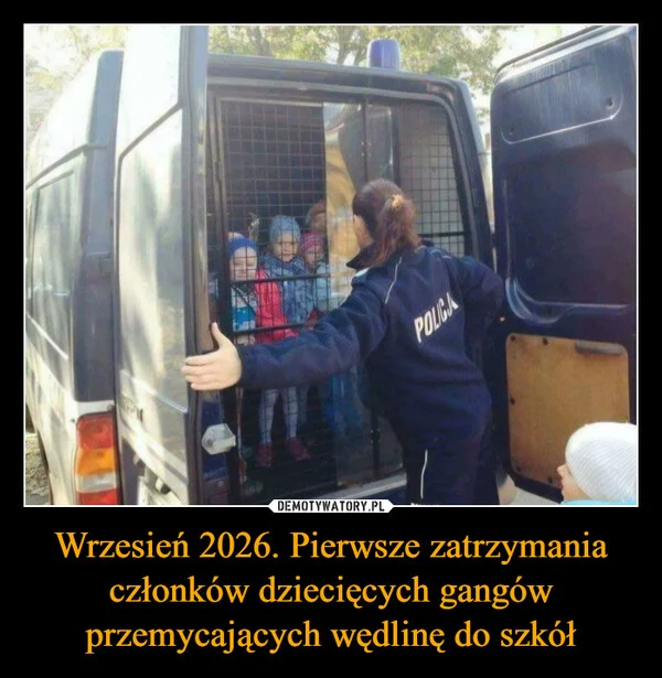 Wrzesień 2026. Pierwsze zatrzymania członków dziecięcych gangów przemycających wędlinę do szkół