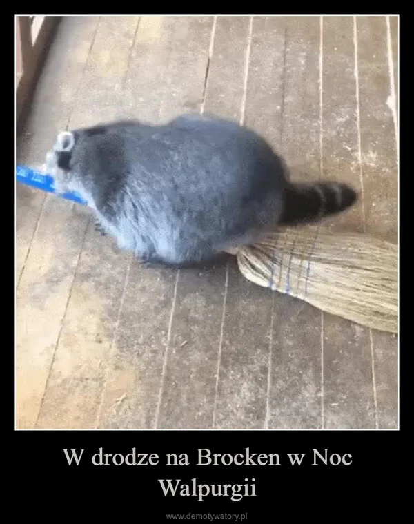 
    W drodze na Brocken w Noc Walpurgii