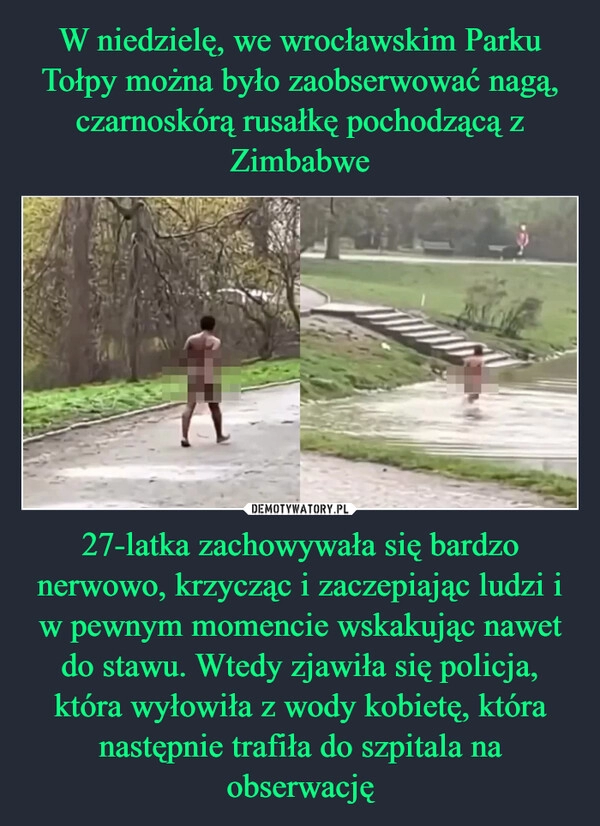 
    W niedzielę, we wrocławskim Parku Tołpy można było zaobserwować nagą, czarnoskórą rusałkę pochodzącą z Zimbabwe 27-latka zachowywała się bardzo nerwowo, krzycząc i zaczepiając ludzi i w pewnym momencie wskakując nawet do stawu. Wtedy zjawiła się policja, która wyłowiła z wody kobietę, która następnie trafiła do szpitala na obserwację