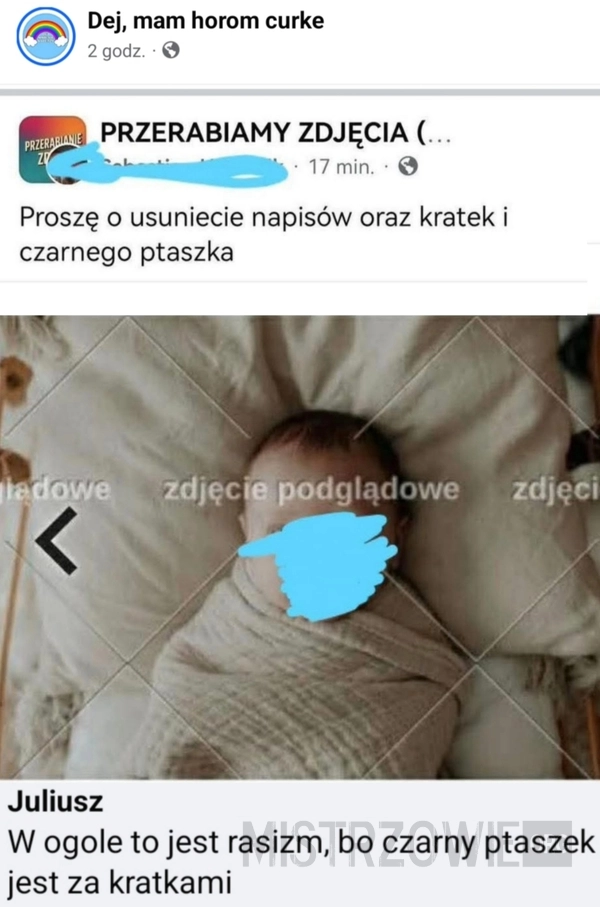 
    Zdjęcie