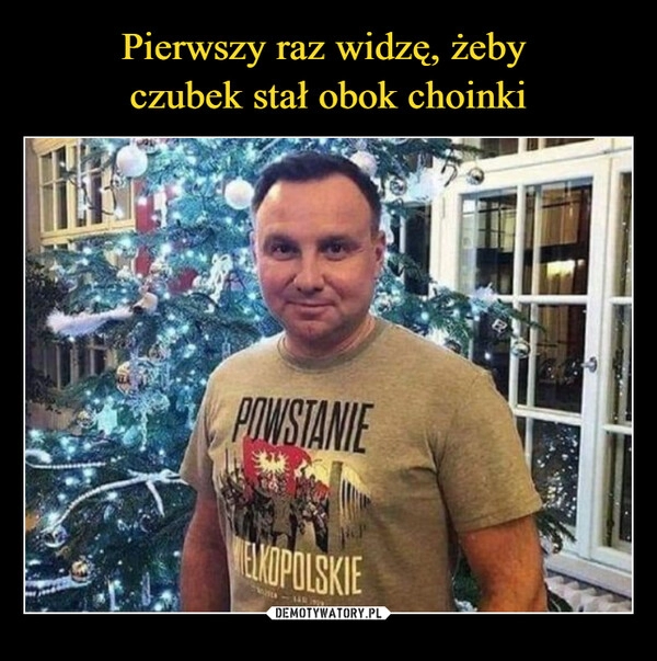 
    Pierwszy raz widzę, żeby 
czubek stał obok choinki