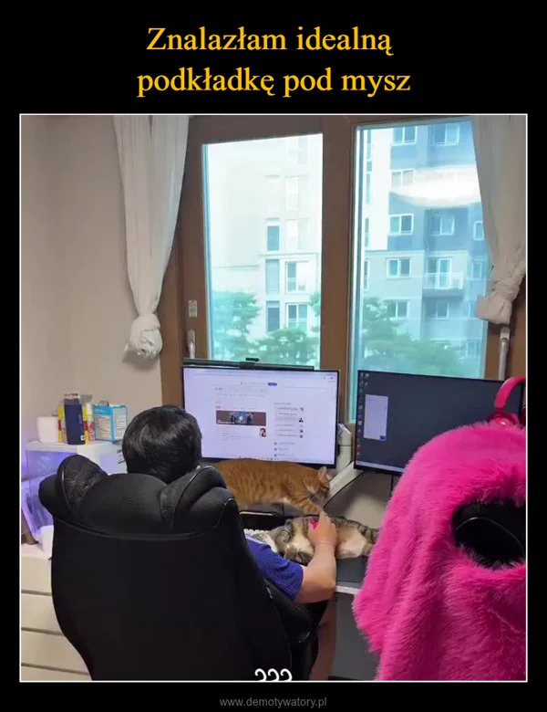 
    Znalazłam idealną podkładkę pod mysz