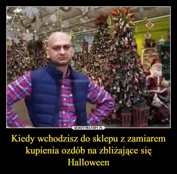
    Kiedy wchodzisz do sklepu z zamiarem kupienia ozdób na zbliżające się Halloween