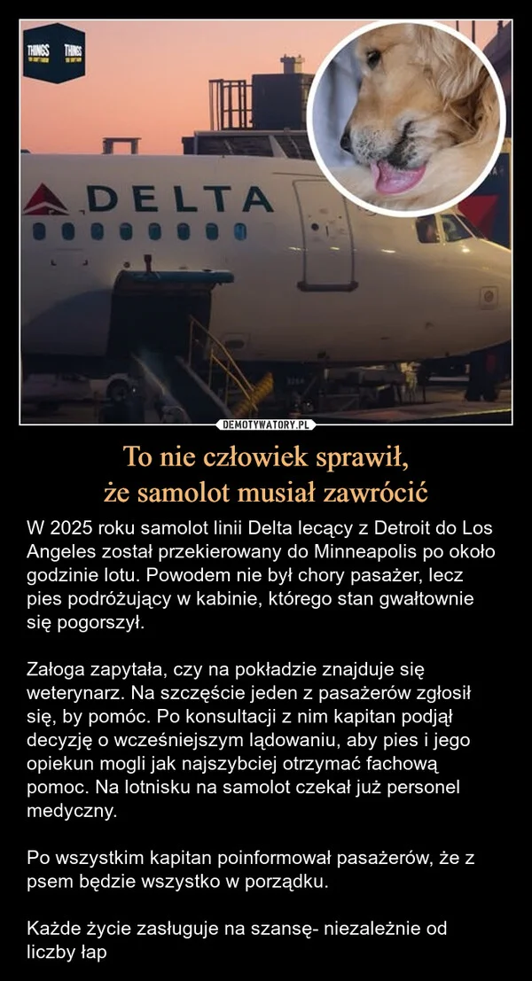 
    To nie człowiek sprawił, że samolot musiał zawrócić