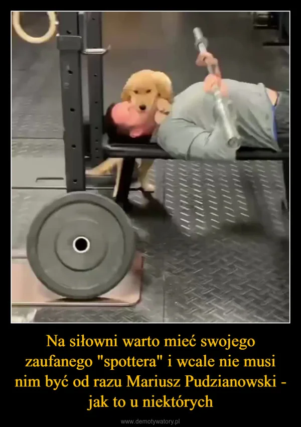 
    Na siłowni warto mieć swojego zaufanego 