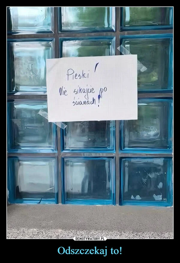 
    Odszczekaj to!