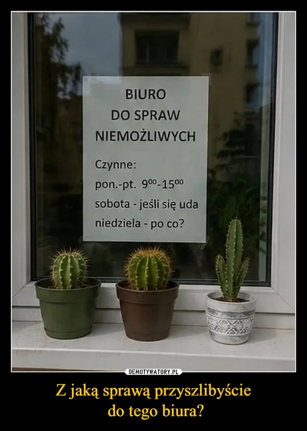 Z jaką sprawą przyszlibyście do tego biura?