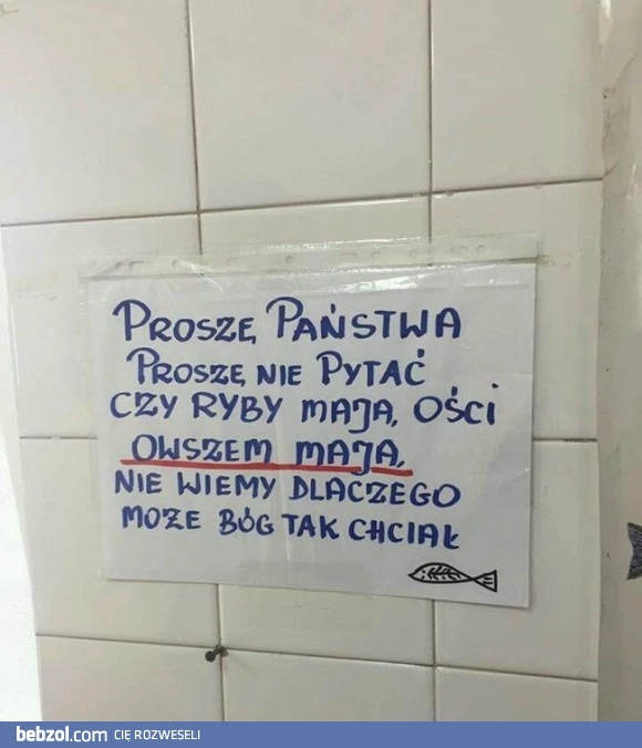 
    Ryby mają ości 