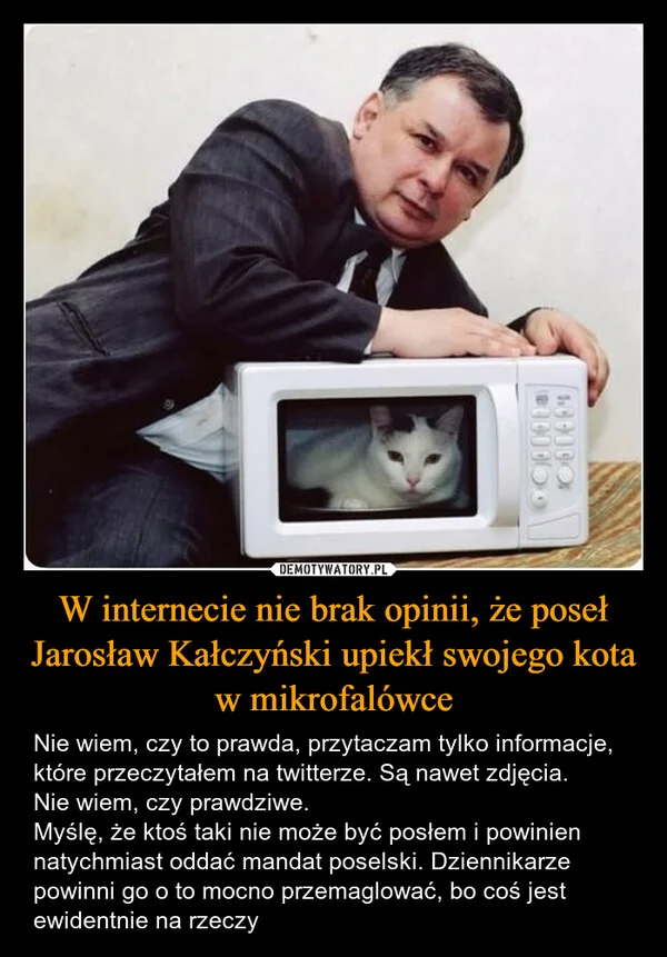 
    W internecie nie brak opinii, że poseł Jarosław Kałczyński upiekł swojego kota w mikrofalówce