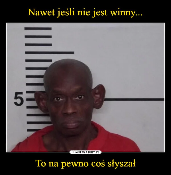 Nawet jeśli nie jest winny... To na pewno coś słyszał