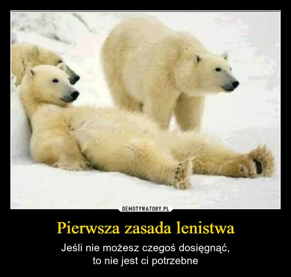 
    Pierwsza zasada lenistwa
