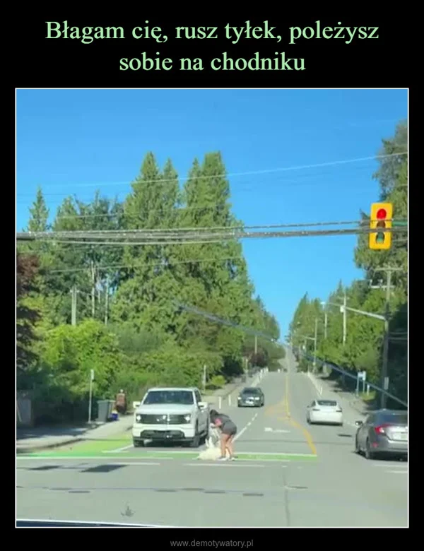 
    Błagam cię, rusz tyłek, poleżysz sobie na chodniku