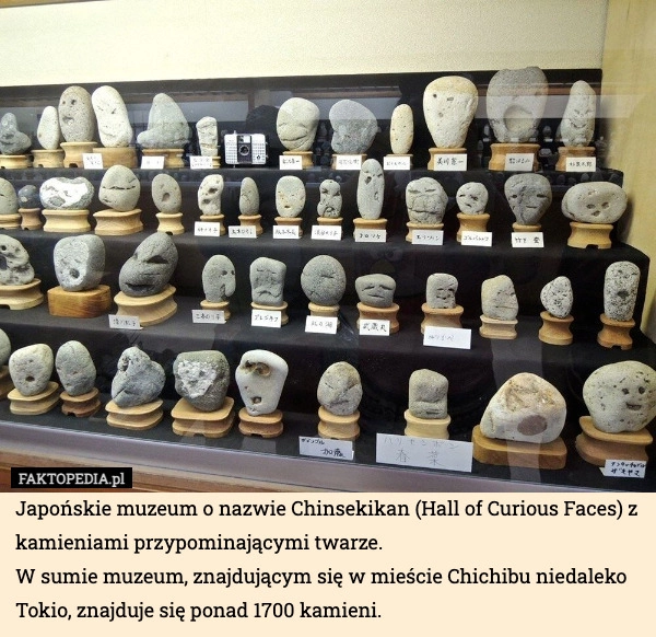 
    Japońskie muzeum o nazwie Chinsekikan (Hall of Curious Faces) z kamieniami