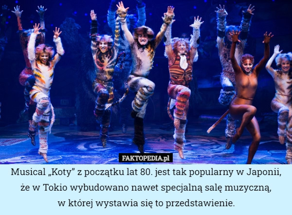 
    Musical „Koty” z początku lat 80. jest tak popularny w Japonii, że w Tokio