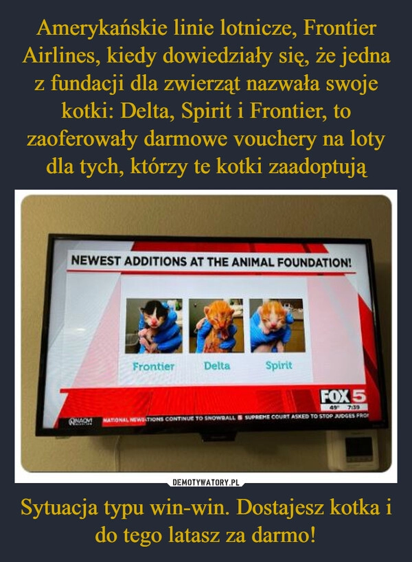 
    Amerykańskie linie lotnicze, Frontier Airlines, kiedy dowiedziały się, że jedna z fundacji dla zwierząt nazwała swoje kotki: Delta, Spirit i Frontier, to zaoferowały darmowe vouchery na loty dla tych, którzy te kotki zaadoptują Sytuacja typu win-win. Dostajesz kotka i do tego latasz za darmo! 