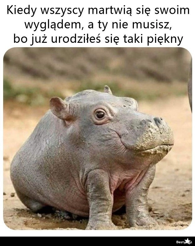 
    I to jest podejście 