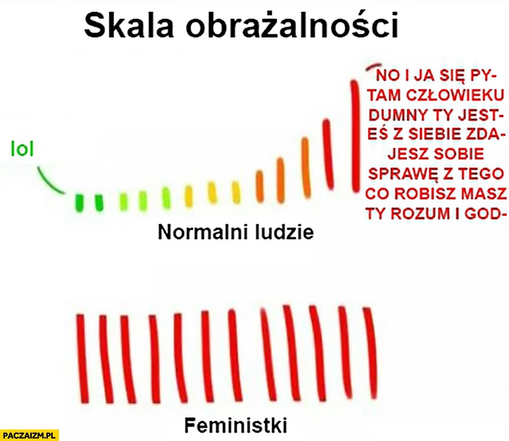 
    Skala obrażalności normalni ludzie vs feministki porównanie