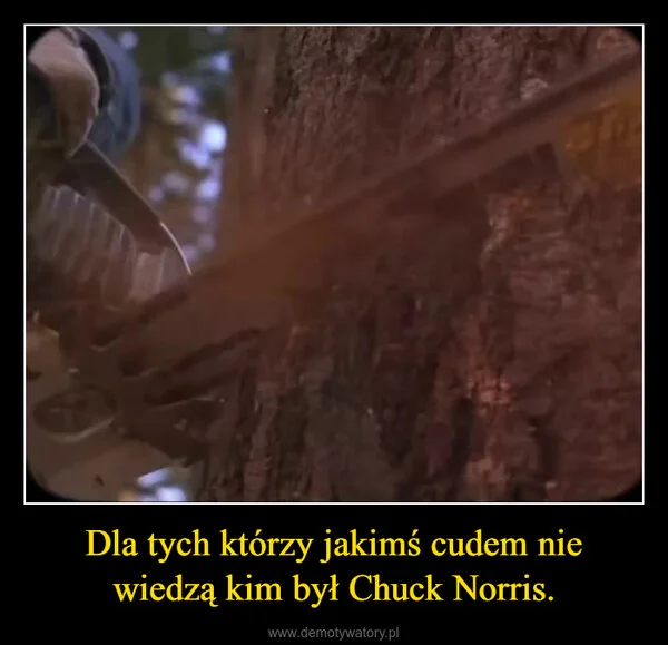 
    Dla tych którzy jakimś cudem nie wiedzą kim był Chuck Norris.