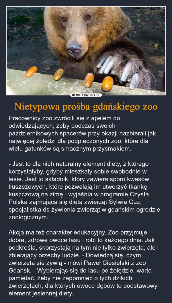 
    Nietypowa prośba gdańskiego zoo