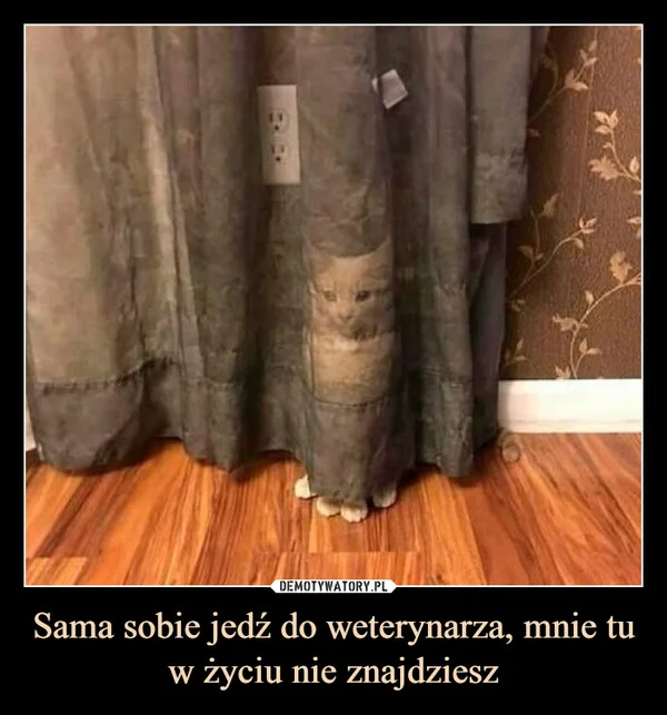 Sama sobie jedź do weterynarza, mnie tu w życiu nie znajdziesz