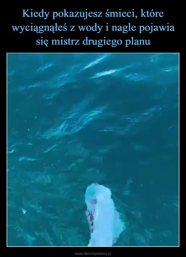 
    Kiedy pokazujesz śmieci, które wyciągnąłeś z wody i nagle pojawia się mistrz drugiego planu