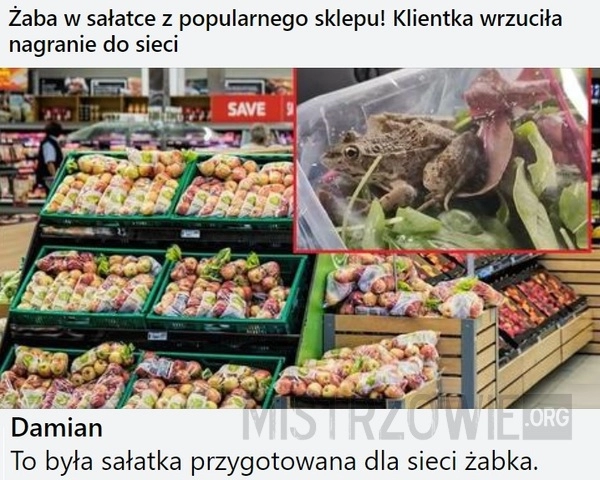 
    Żaba