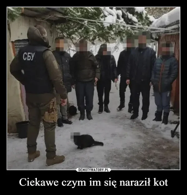 Ciekawe czym im się naraził kot