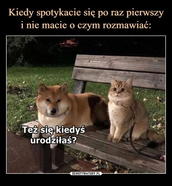 
    Kiedy spotykacie się po raz pierwszy i nie macie o czym rozmawiać:
