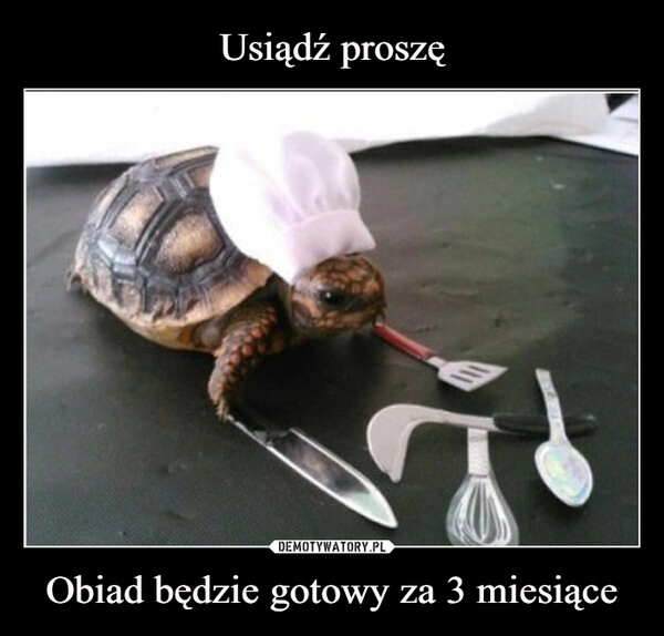 
    Usiądź proszę Obiad będzie gotowy za 3 miesiące