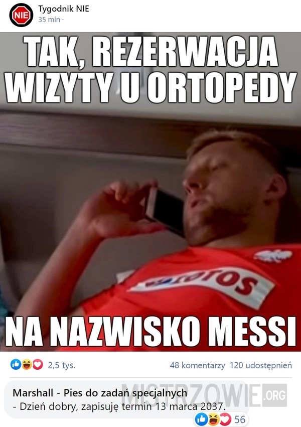 
    
			Wizyta					