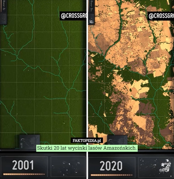 
    Skutki 20 lat wycinki lasów Amazońskich.