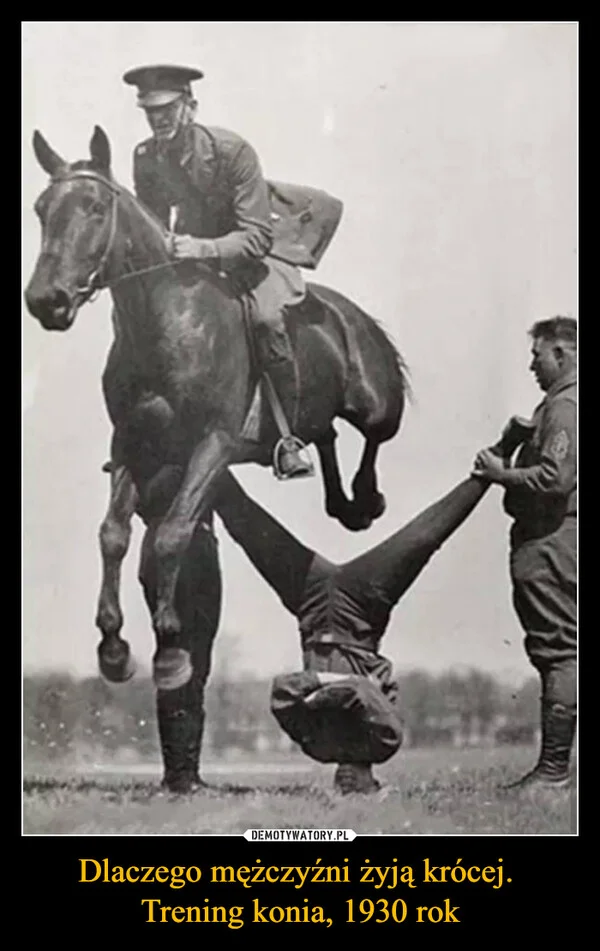 
    Dlaczego mężczyźni żyją krócej. Trening konia, 1930 rok